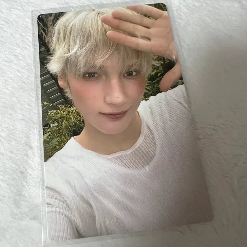 투바투 일본 스타키스드 스탠다드 휴닝카이