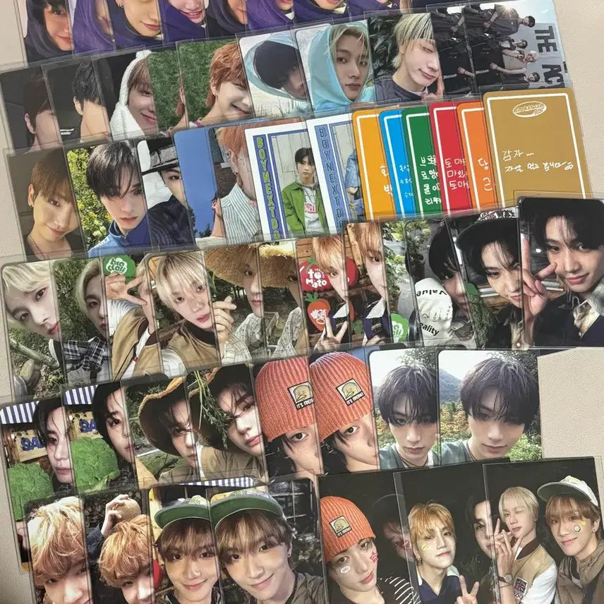 (최저가)보넥도 포카 일괄 판매