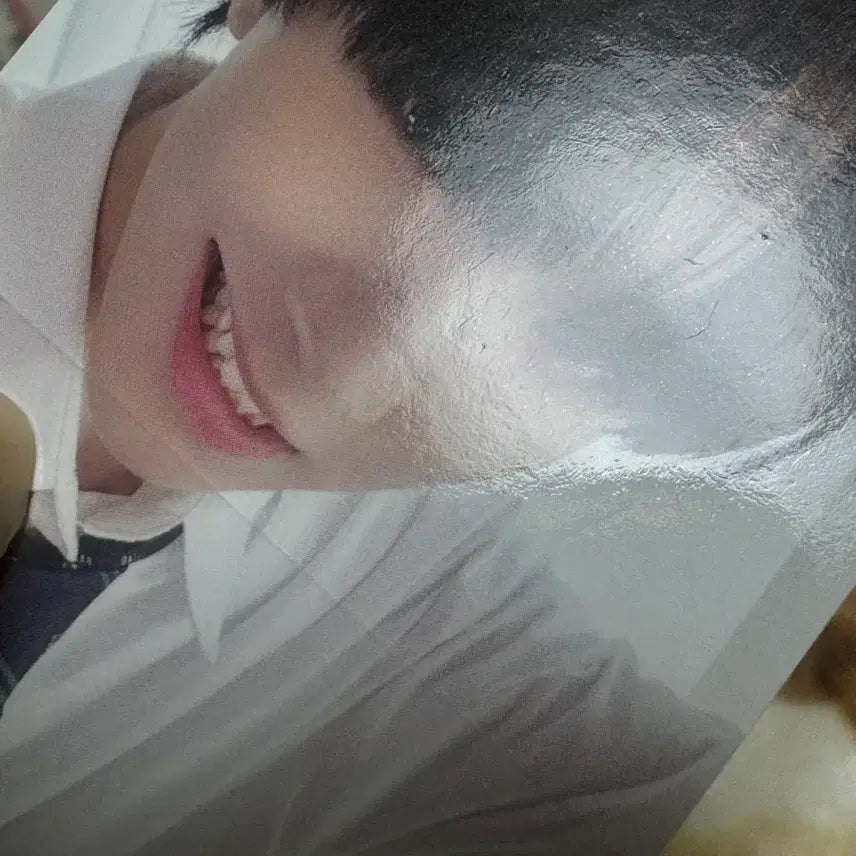 보넥도 디액션 로딩 운학 양도