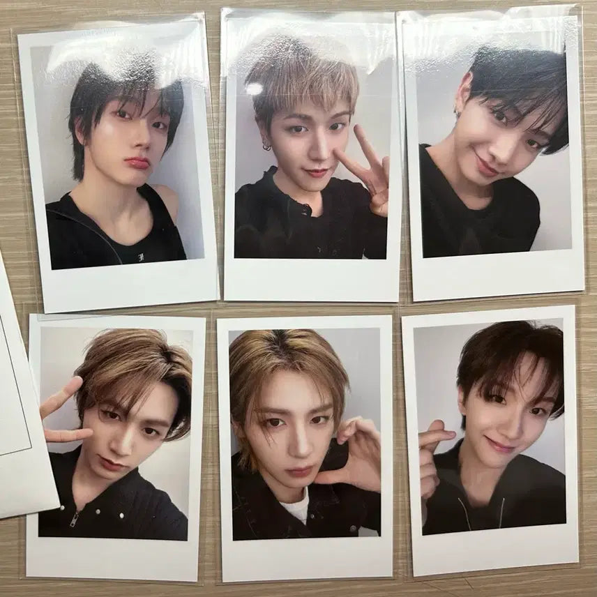 보넥도 닥터지 폴라 일괄 양도