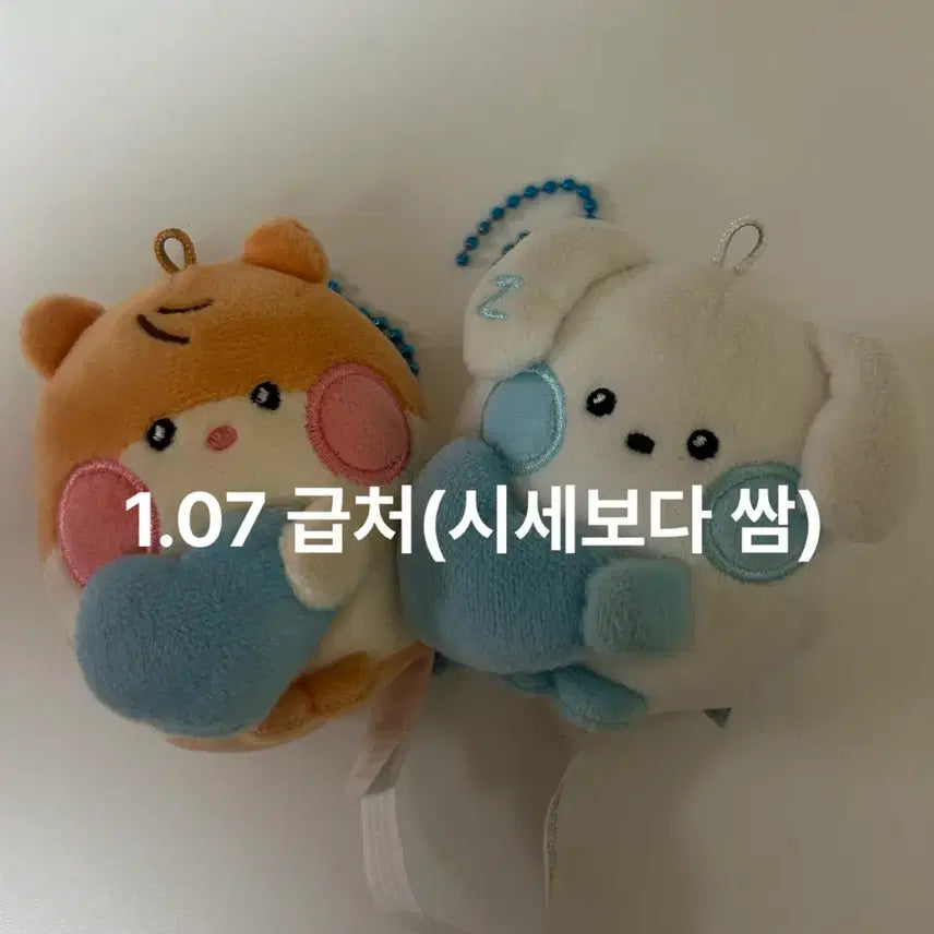 (시세보다 쌈)비니니 규니니 제로니제베원 인형 제로베이스원 성한빈 김규빈