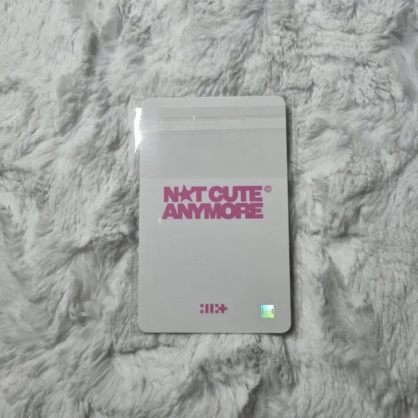 아일릿 윤아 케타포 1차 럭드 양도  윤아민주모카원희이로하