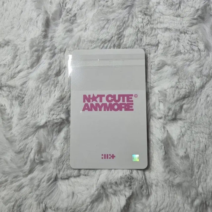 아일릿 윤아 케타포 1차 럭드 양도  윤아민주모카원희이로하