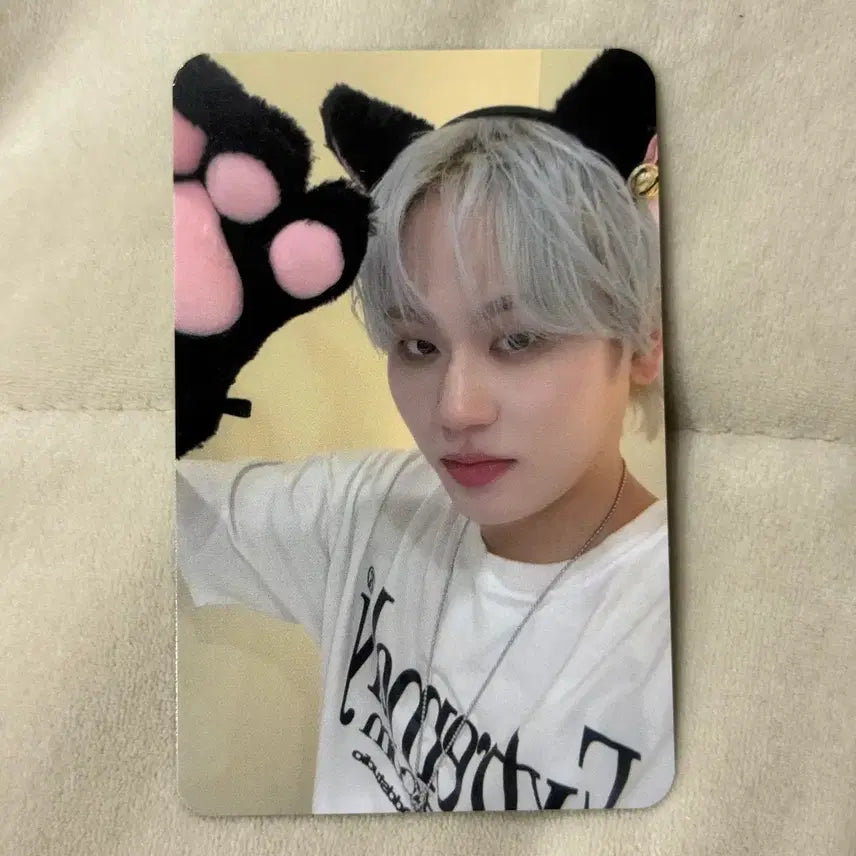 다크비 지케이 이모션 LiNC 야옹야옹 미공포 특전 포카