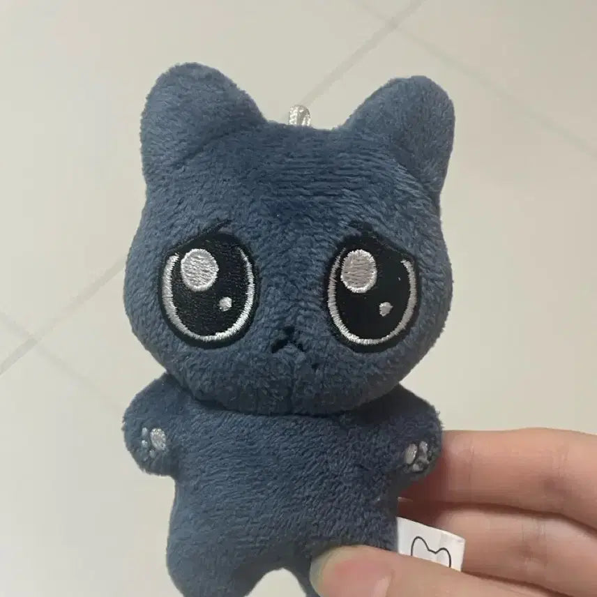 직냥이 에스파 카리나 인형 판매