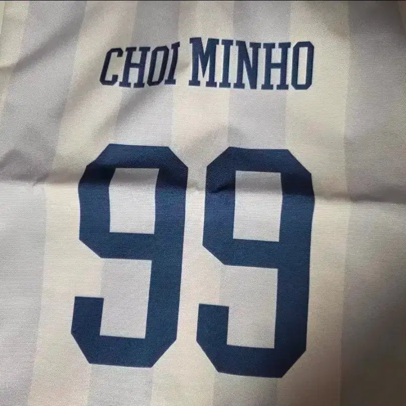 [BUNJANG] SHINee Minho Concert VIP Seat Bag / 샤이니 민호 콘서트 굿즈 VIP석 가방
