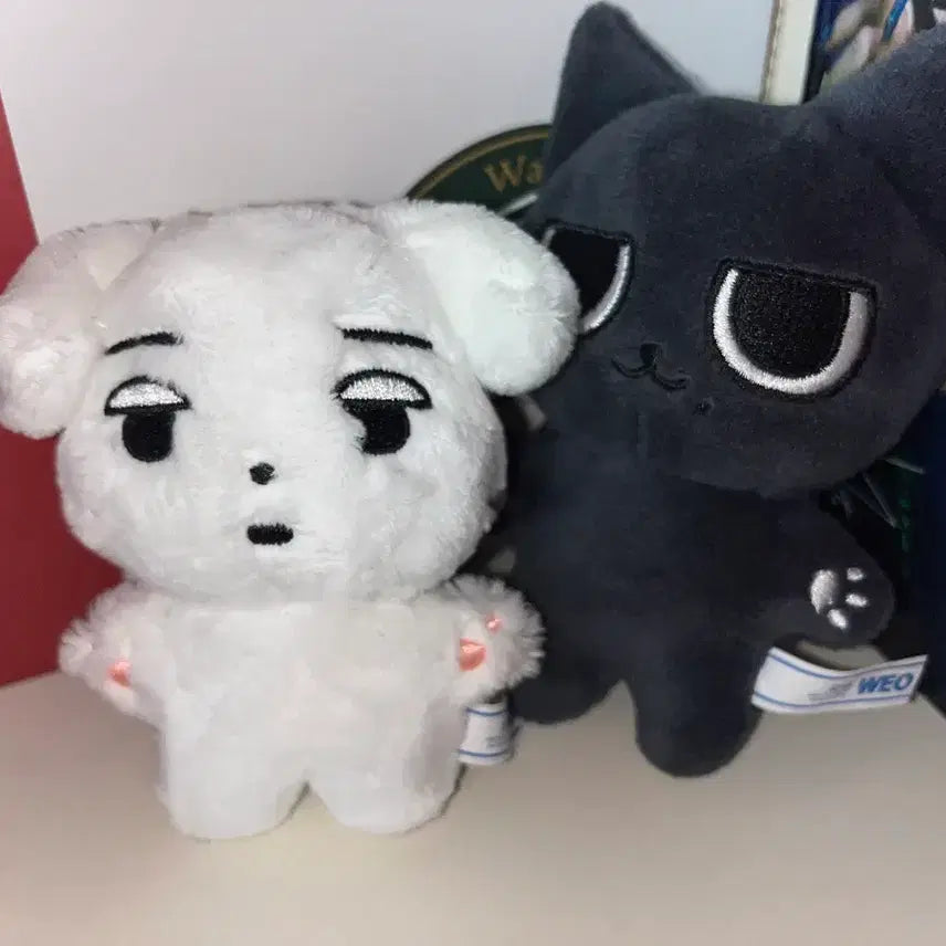 에스파 직직이 직냥이 일괄