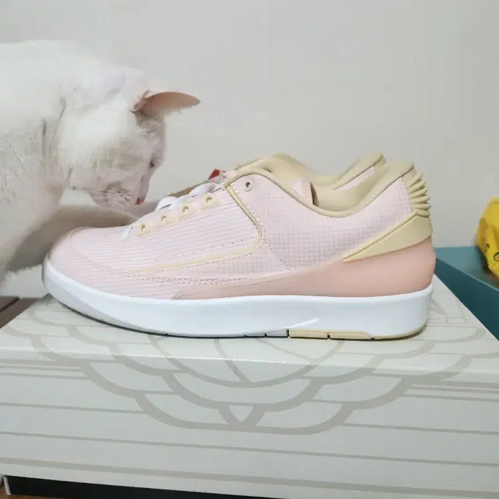 [BUNJANG] Nike Air Jordan 2 Low Pink 280 Size Sneakers / 나이키 에어 조던 2 로우 핑크 280사이즈