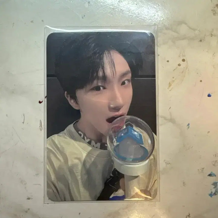 보넥도 운학 낙원포카 양도