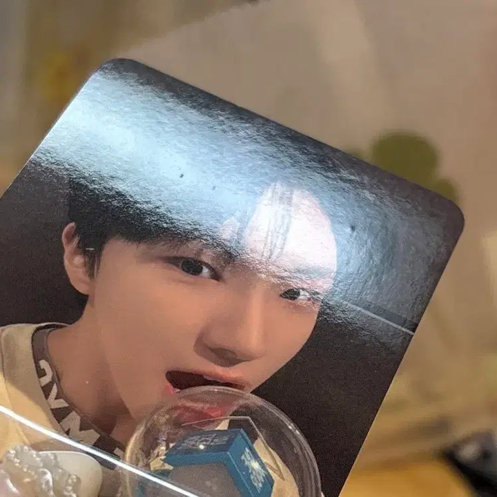 보넥도 운학 낙원포카 양도