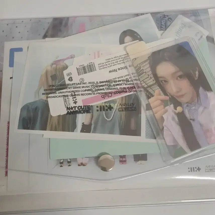 아일릿 낫큐트애니모어 앨범 양도