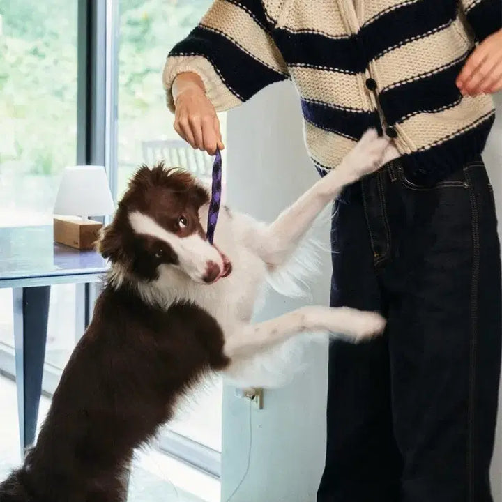 [BUNJANG] Re:Bold Bread Striped Cardigan / (새상품)리볼드 Bread CD 브레드 가디건 스트라이프