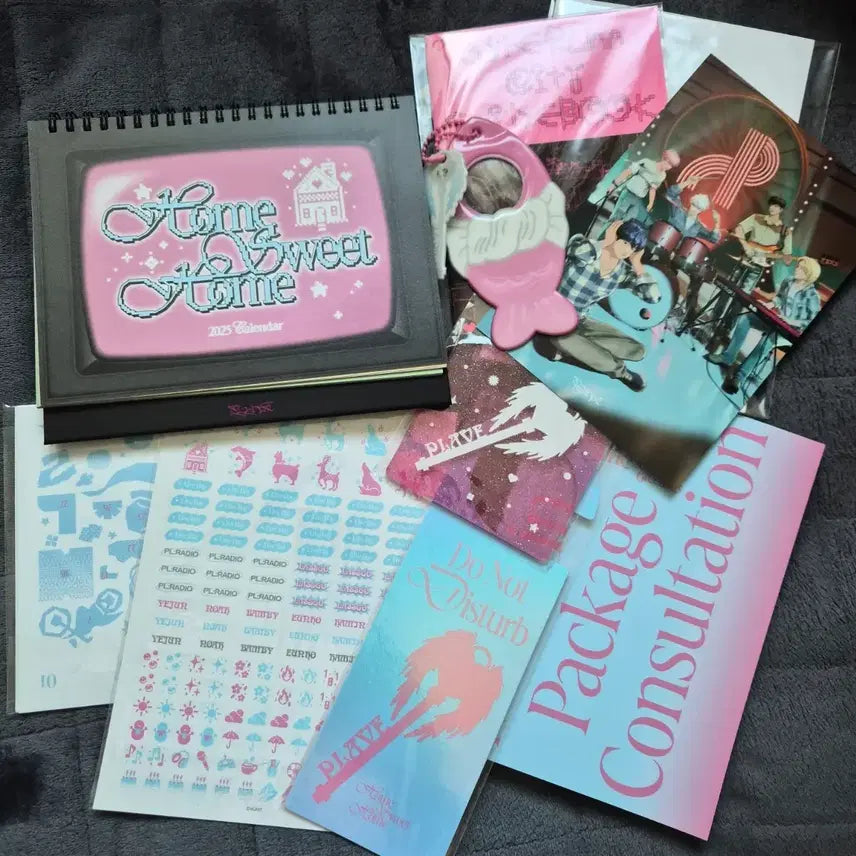 플레이브 2025시그