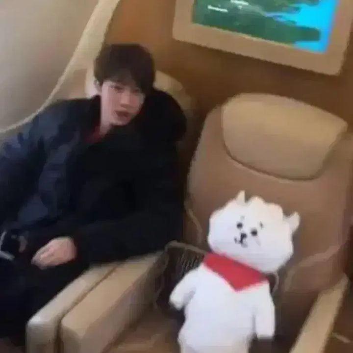 BT21 RJ 점보 봉제인형 인형 새상품