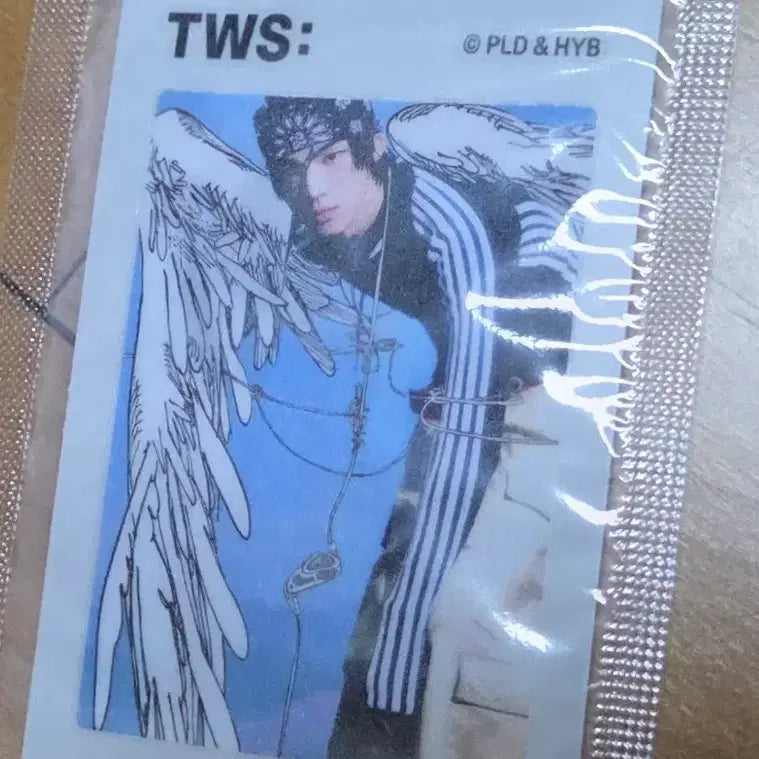 투어스 띠부씰 도훈