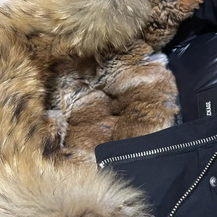 [BUNJANG] Mckage Edward #38 / 맥케이지 에드워드 38