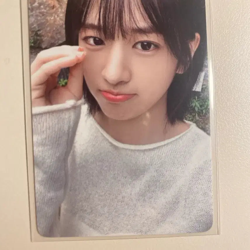 아이브 안유진 마인 위드뮤 포카 판매