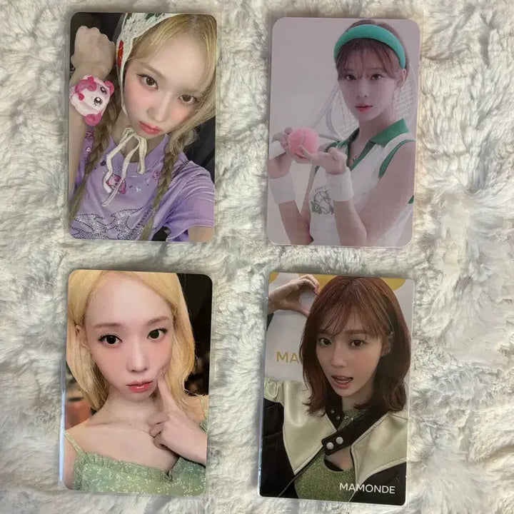 에스파 윈터포카 에스파 하츄핑윈터 에버라인 마몽드 일괄 양도