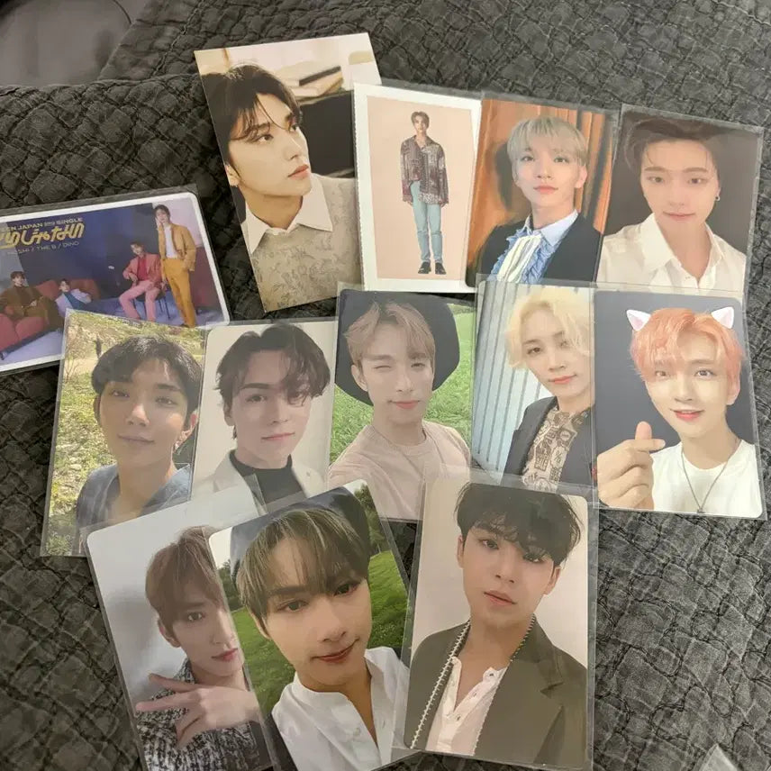 (일괄) 세븐틴 조슈아 민규 정한 디노 버논 준 도겸 포카