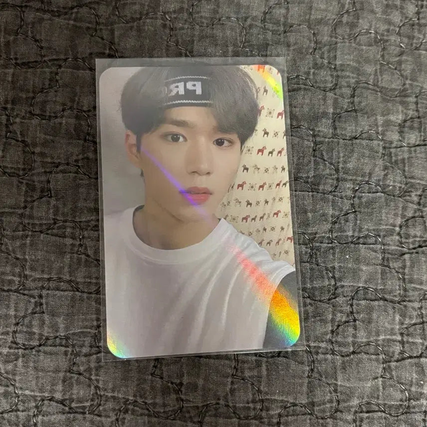 알드원 김준서 준서 포카