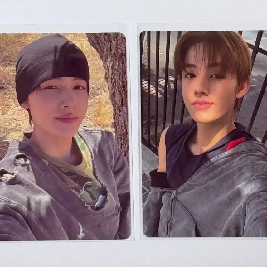 코르티스 바이닐 싱잉볼 성현 포카 일괄 양도