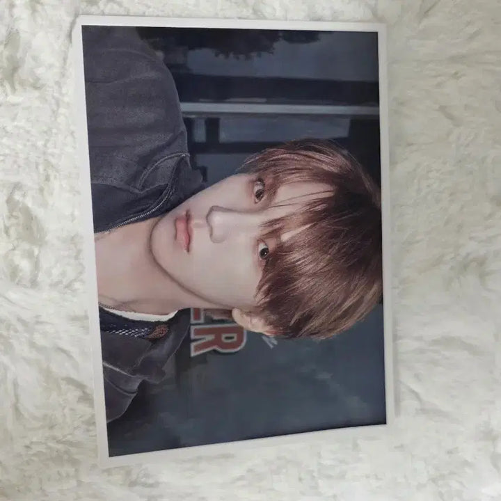 보넥도 운학 이디야 엽서