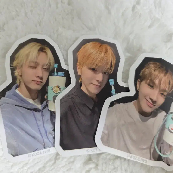 보넥도 운학 이디야 엽서