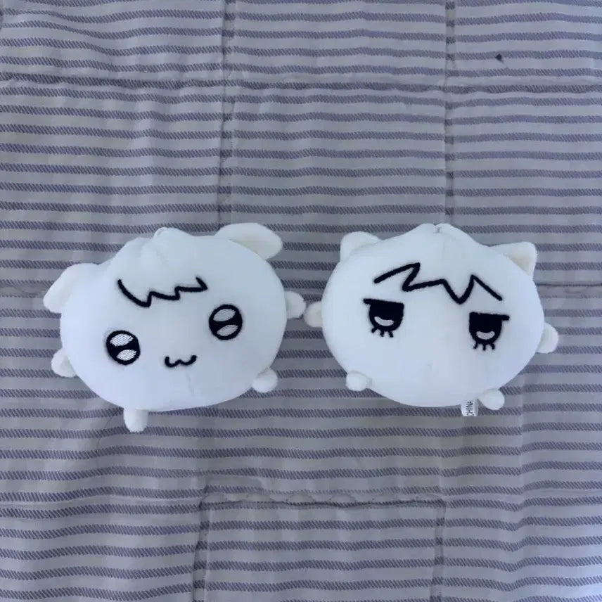 보이넥스트도어 보넥도 명재현 태산 인형 띵만두 탯만두 양도