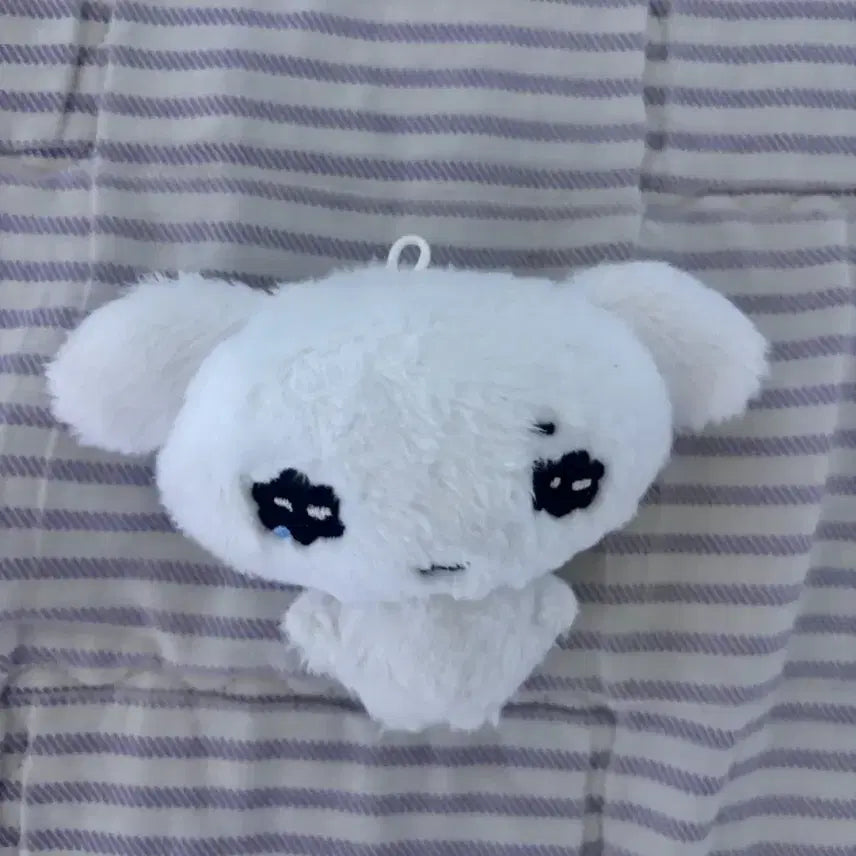 보이넥스트도어 보넥도 명재현 인형 명꼬미 양도