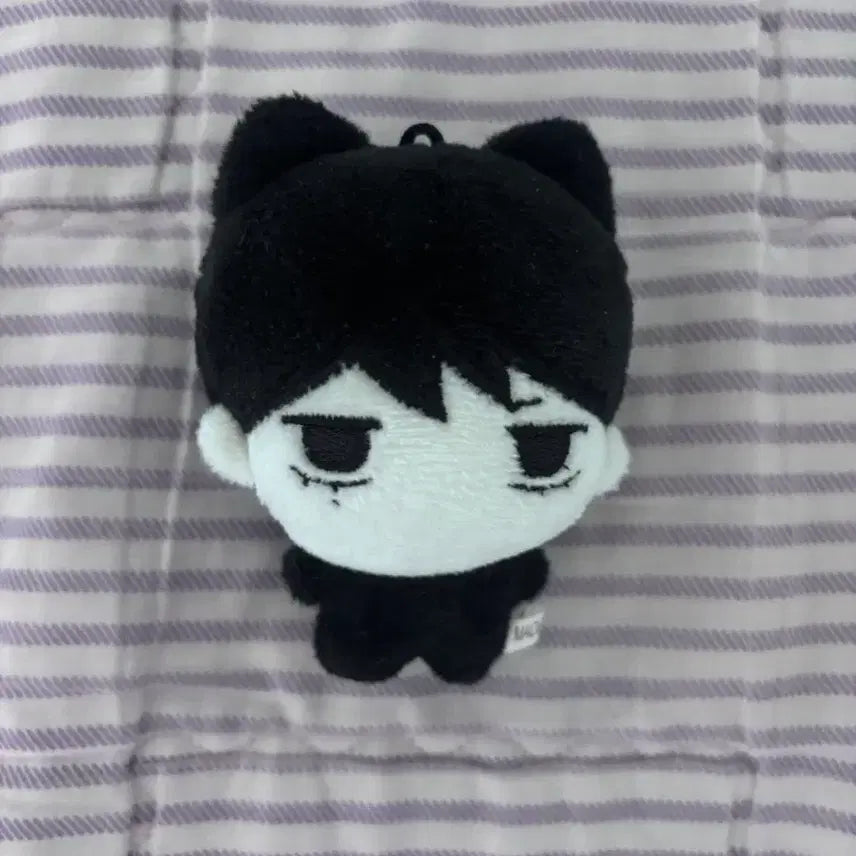 보이넥스트도어 보넥도 태산 인형 운젤 양도