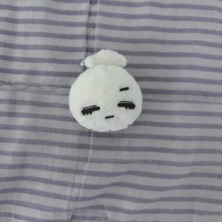 보이넥스트도어 보넥도 태산 인형 보네또 손만두 양도