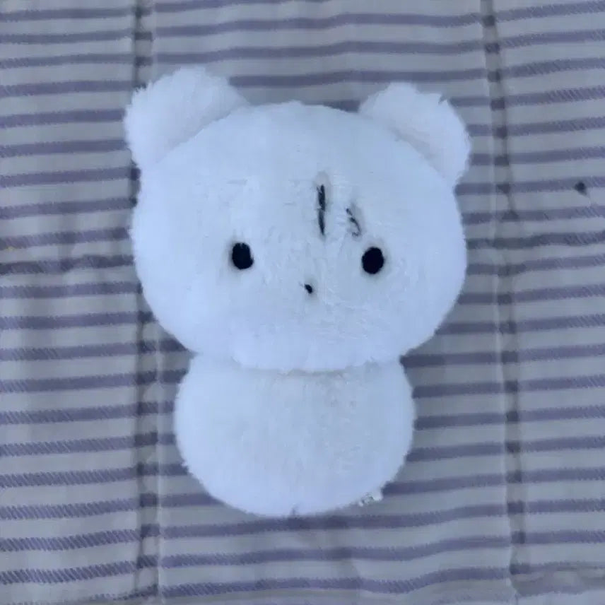 보이넥스트도어 보넥도 운학 인형 운아곰 양도