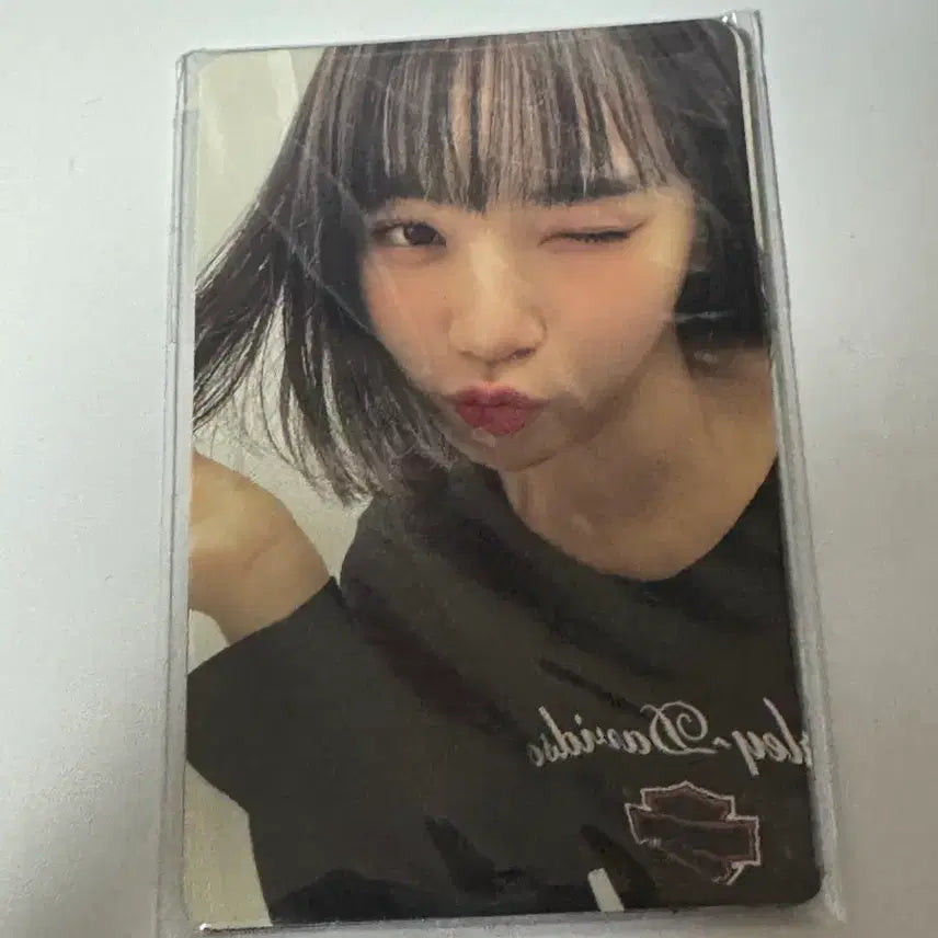 르세라핌 피어나 1기 포토카드 일괄