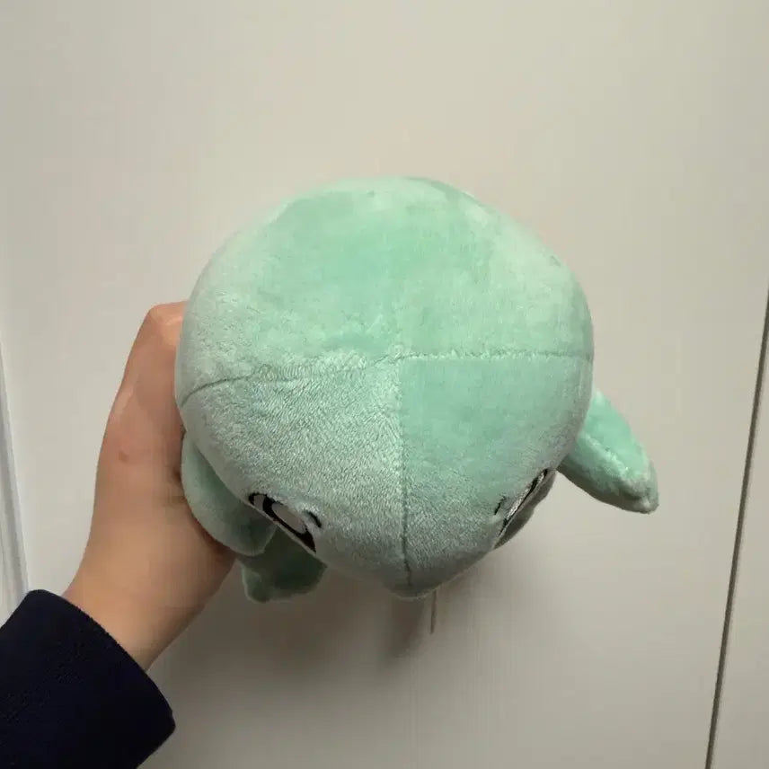 [BUNJANG] Pokemon Squirtle Plush Doll (New) / 정품) 리얼 최종가 포켓몬스터 꼬부기 인형 새상품