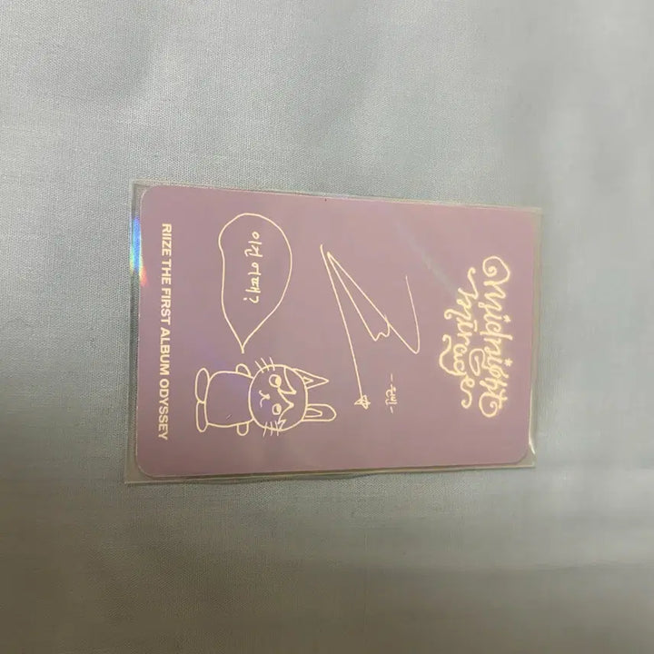 보이스키링 라이즈 원빈 포카