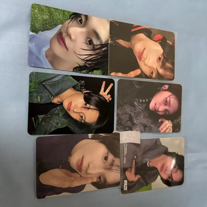 라이즈 원빈 포카 일괄