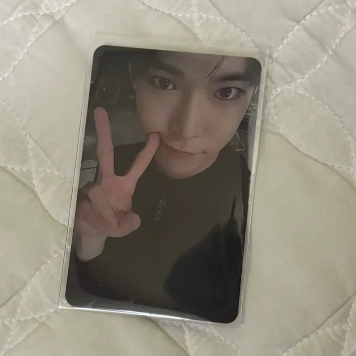 엔시티127 도영 레귤러 포카 판매