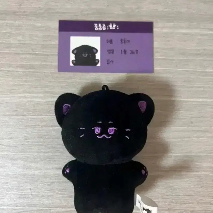 몬스타엑스 아이엠 인형 일괄