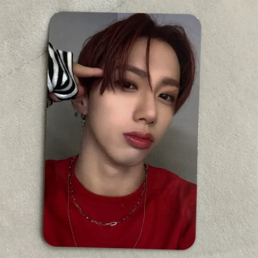 다크비 해리준 아이러니 공방 출석 스티커 9개 특전 포카