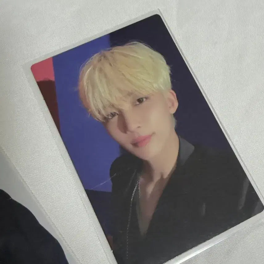 세븐틴 정한 포토카드 2장