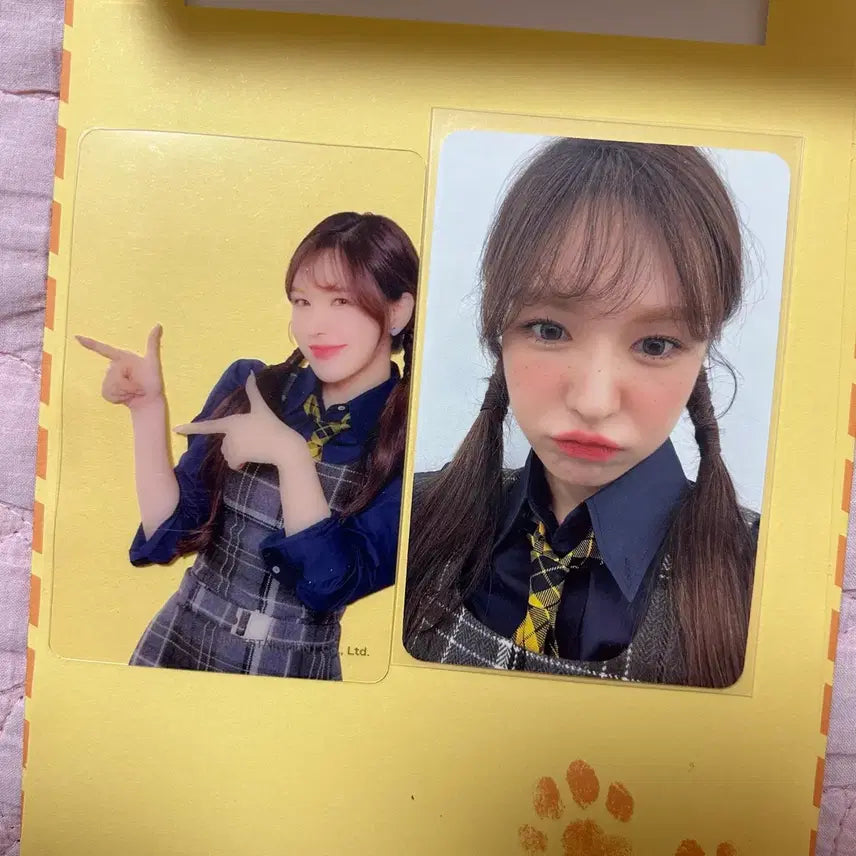 웬디 2023 레드벨벳 시그 시즌그리팅 포카 투명 세트