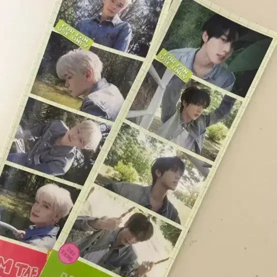 제로베이스원 포토카드 일괄로 팔아요(어느정도 에눌가능)