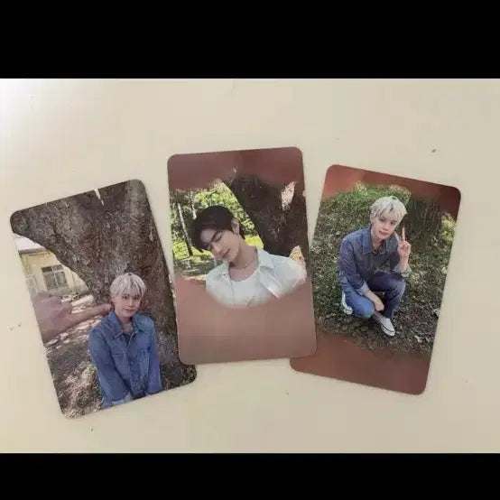 제로베이스원 포토카드 일괄로 팔아요(어느정도 에눌가능)