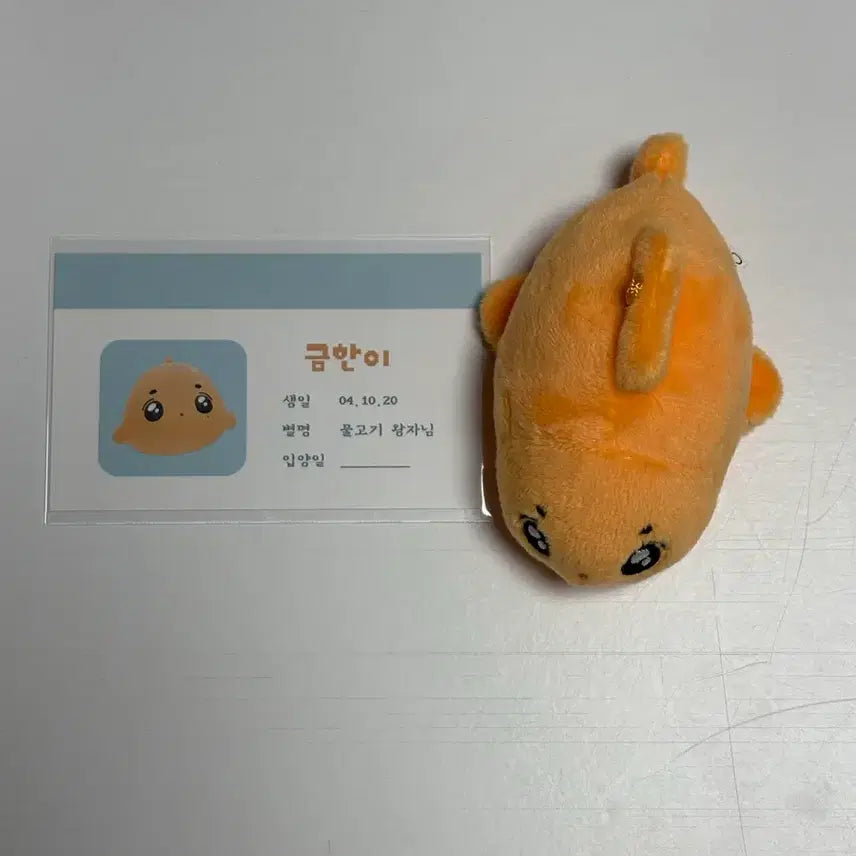 보이넥스트도어 보넥도 이한 비공식 인형 금한이 양도