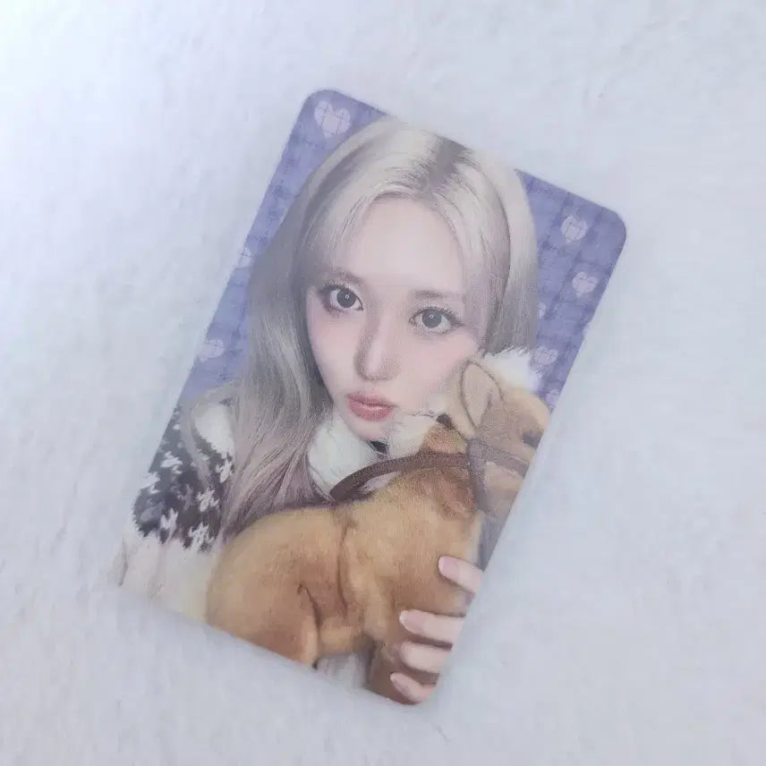 아이브 가을 2026 시그 스타쉽 특전포카 판매 분철헬라본품특전시즌그리팅