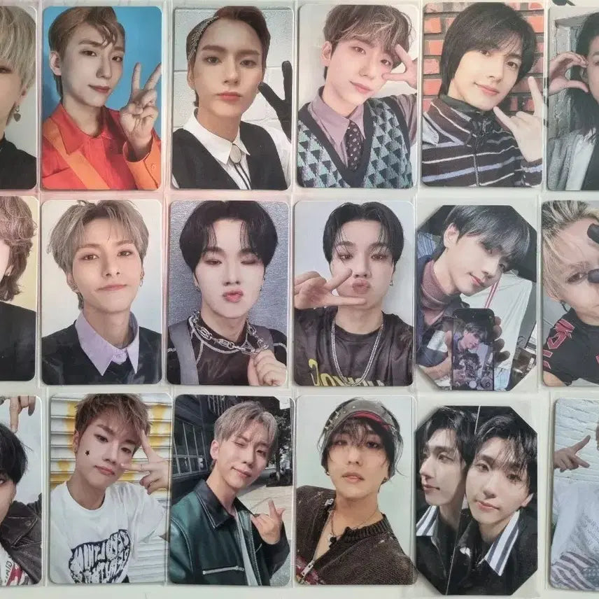 엑디즈 포카 일괄 양도 (건일, 정수, 오드 위주)