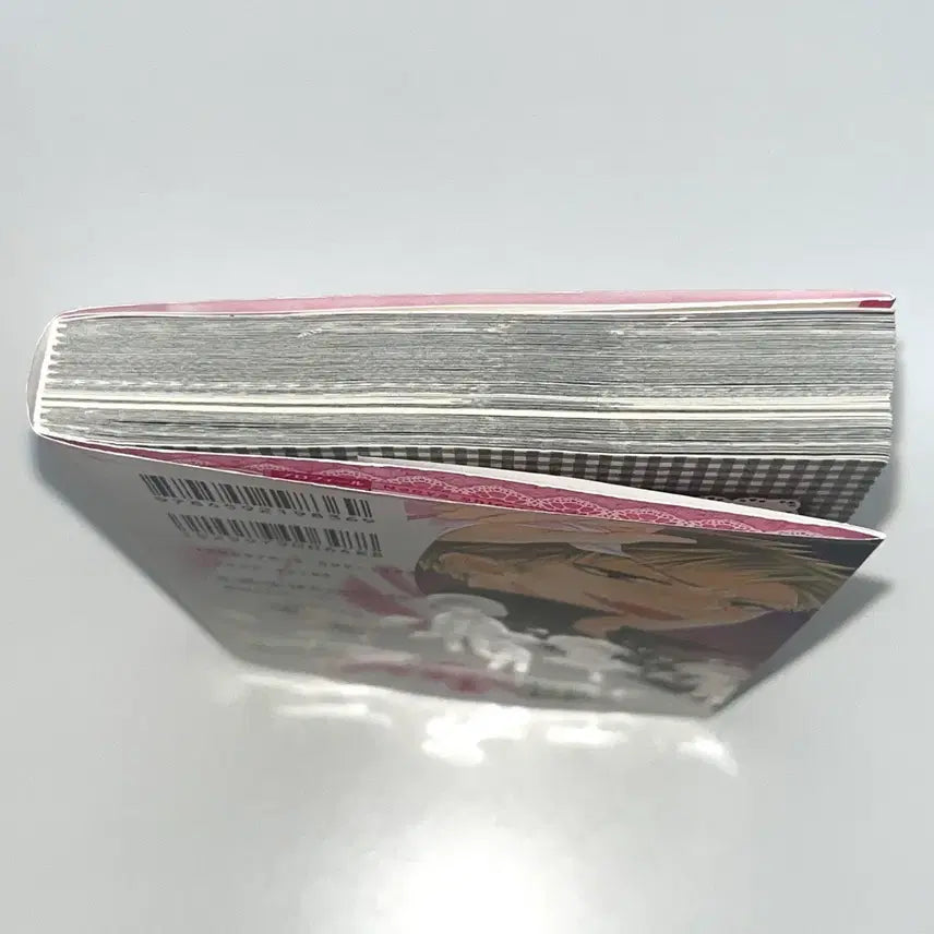 [BUNJANG] Maid Sama! Official Fanbook Comic Book / 부록O) 회장님은 메이드사마 공식 팬북 초판본 순정만화책