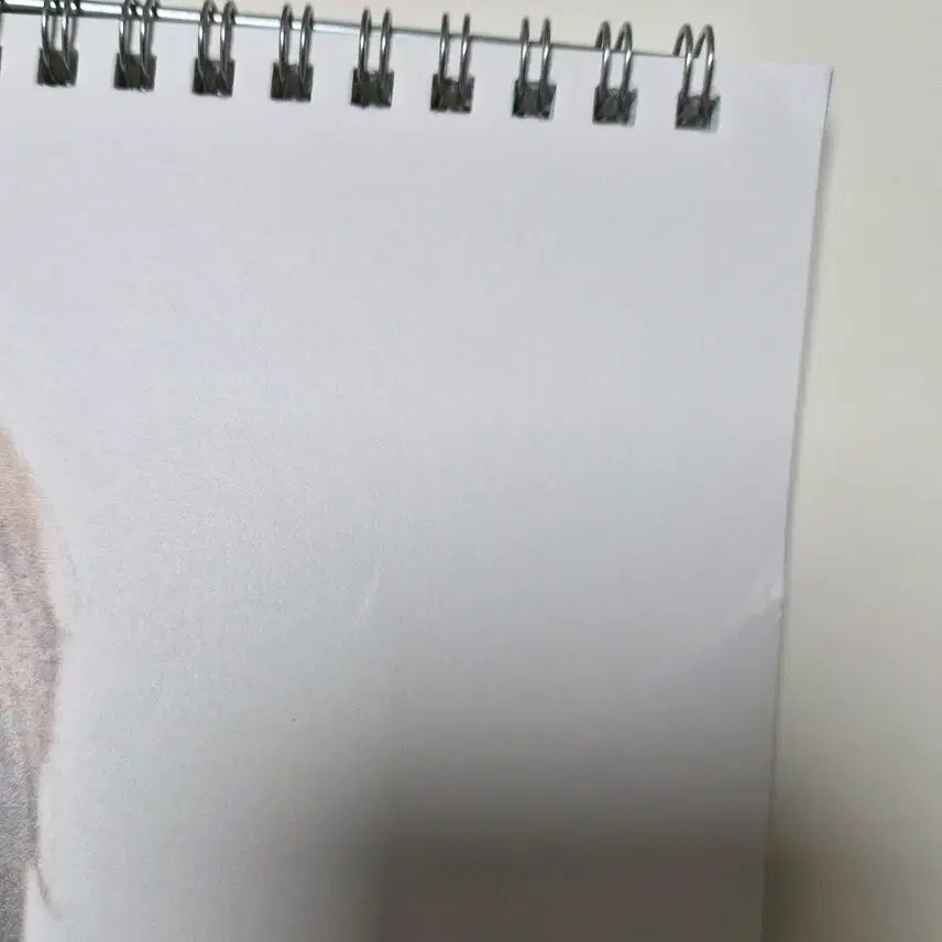 디코 미사용) 세븐틴 2025 시즌그리팅 시그 월 캘린더 양도