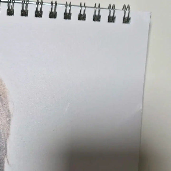 디코 미사용) 세븐틴 2025 시즌그리팅 시그 월 캘린더 양도