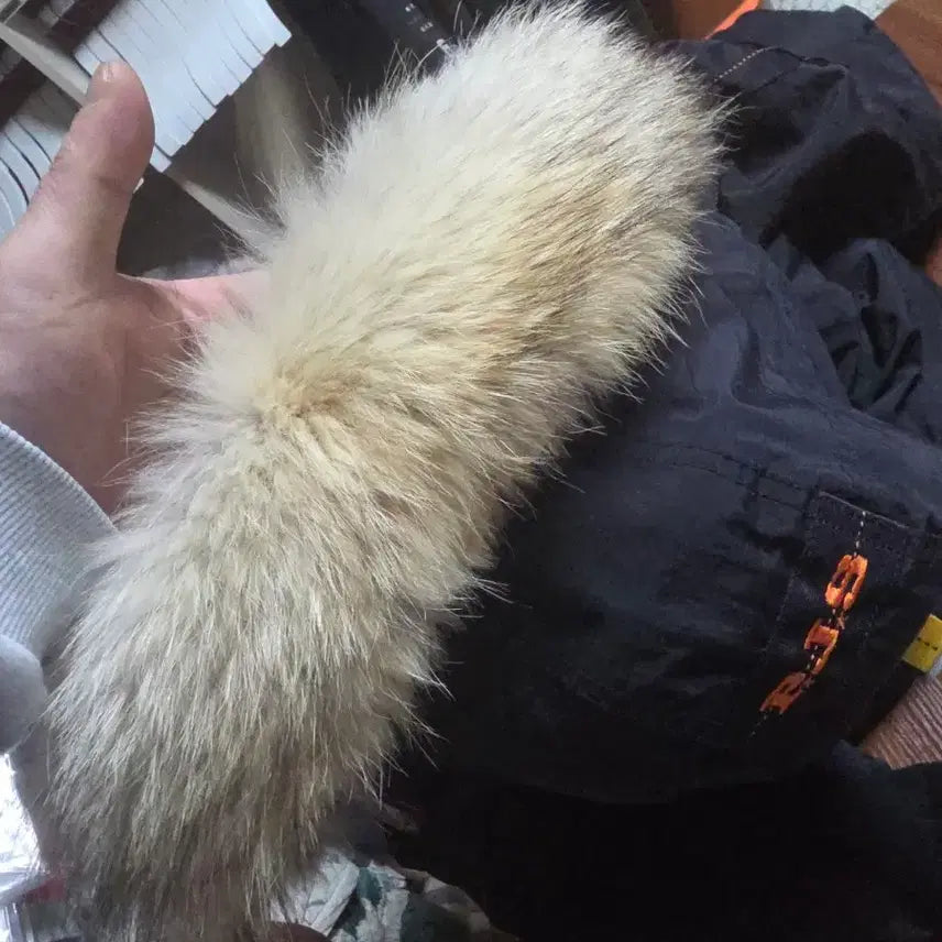 [BUNJANG] Parajumpers Tribe Jacket (Size S) / 파라점퍼스 트라이브 표기사이즈s 실사95~100 팝니다